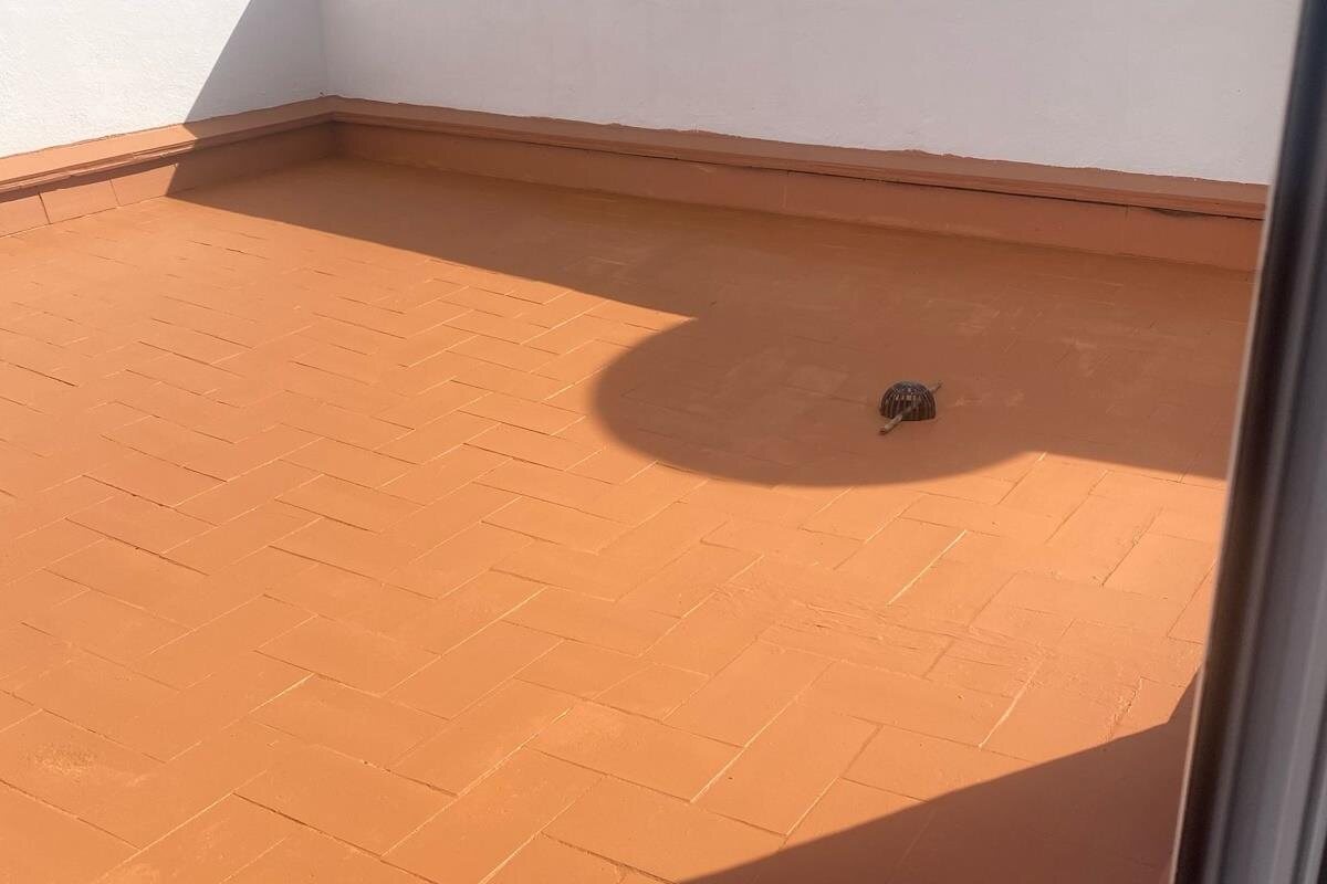 proyecto de impermeabilización de terraza en Vilanova y la Geltrú